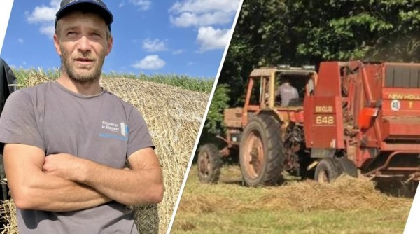 В Германии с луга украли трактор «Беларус» времен ГДР