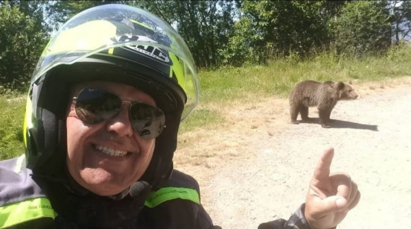 Селфи с медведем стоило жизни — подробности дикой истории